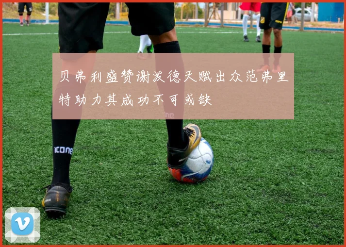 贝弗利盛赞谢泼德天赋出众范弗里特助力其成功不可或缺